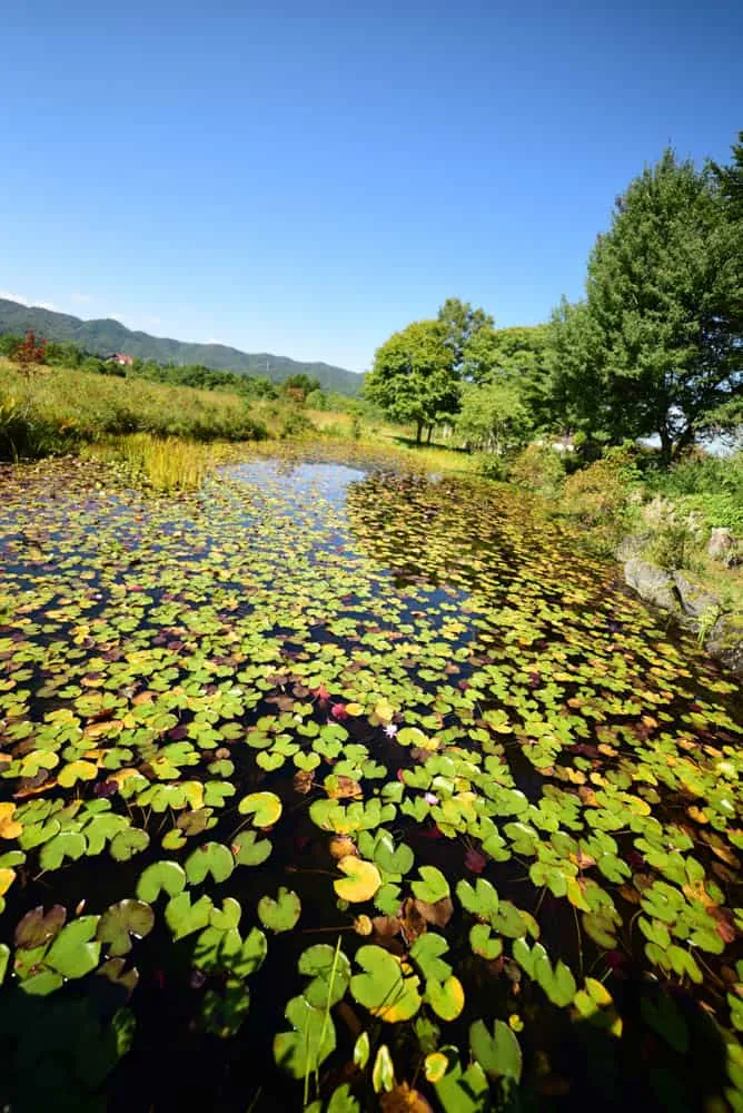 【NikonD750/星空】岐阜県郡上市の高鷲でキャンプ