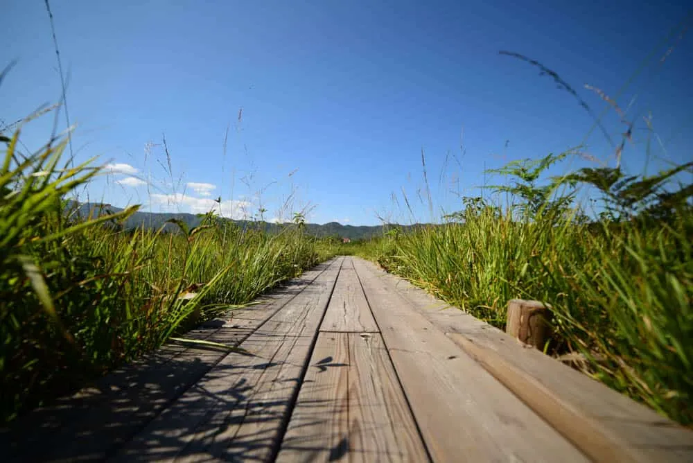 【NikonD750/星空】岐阜県郡上市の高鷲でキャンプ