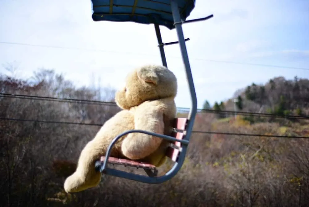 【NikonD750/Planar50mm作例】茶臼山に紅葉を撮りに行ってきた