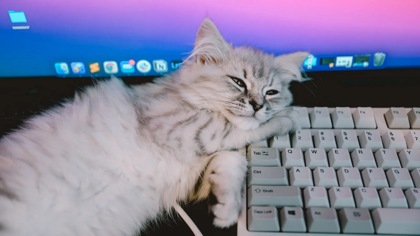 フリーランスエンジニアのデスク環境は日々めまぐるしく変化する