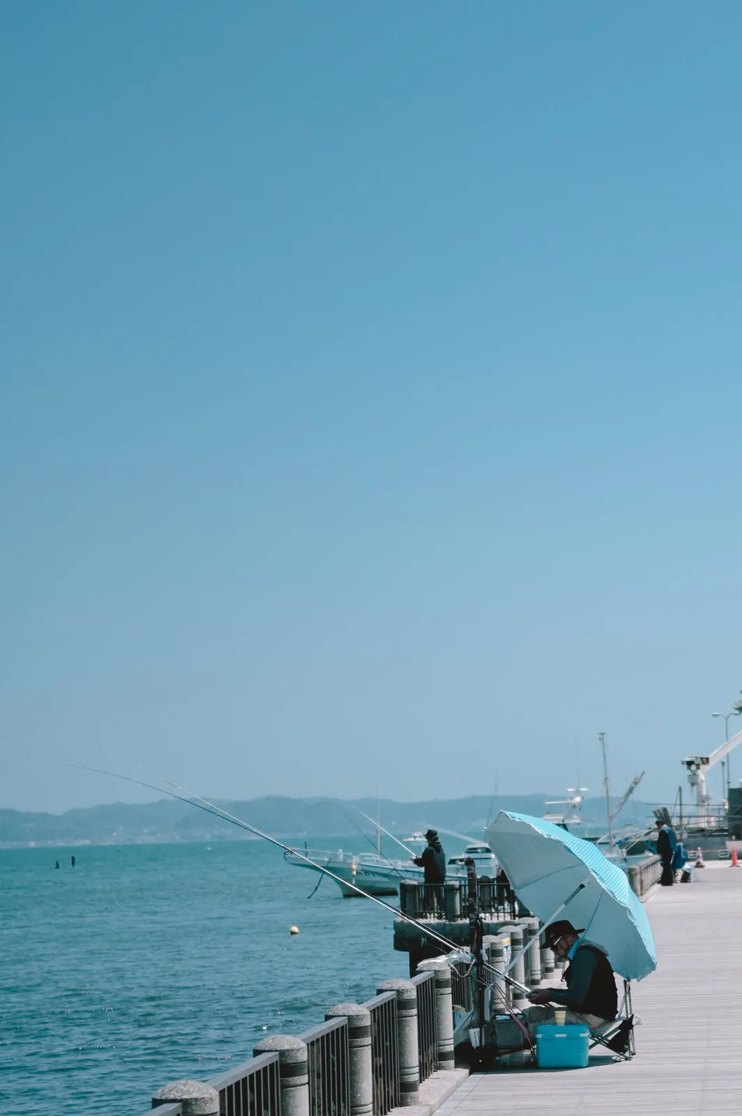 ぶらり江ノ島【Nikon Z6,SIGMA 45mm F2.8  Contemporary】