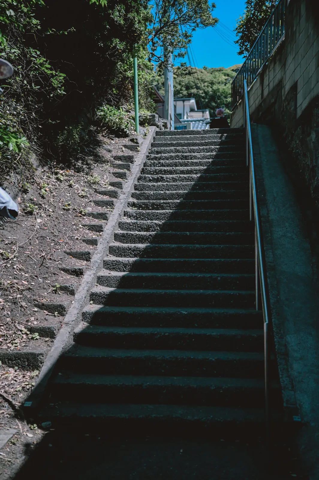 ぶらり江ノ島【Nikon Z6,SIGMA 45mm F2.8  Contemporary】