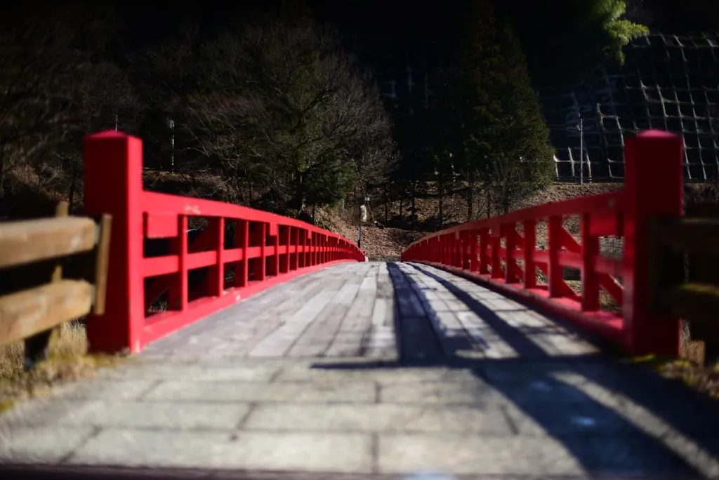 D750をシャッターシステム故障で修理に出しました。