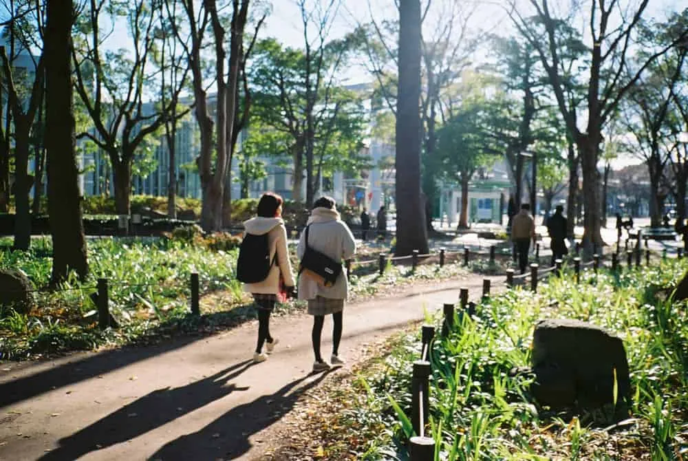 【 #わたしの標準レンズ 】Carl Zeiss Sonnar T* 2.8/38