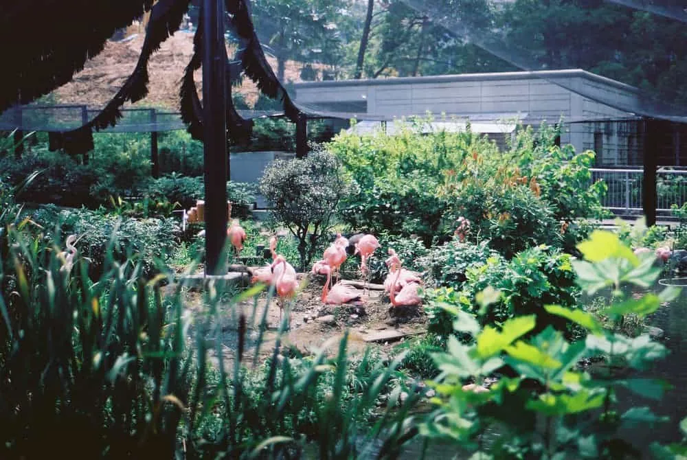 【 #ふぃるなごさんぽ 】第1回FilmsNagoyaフォトウォーク