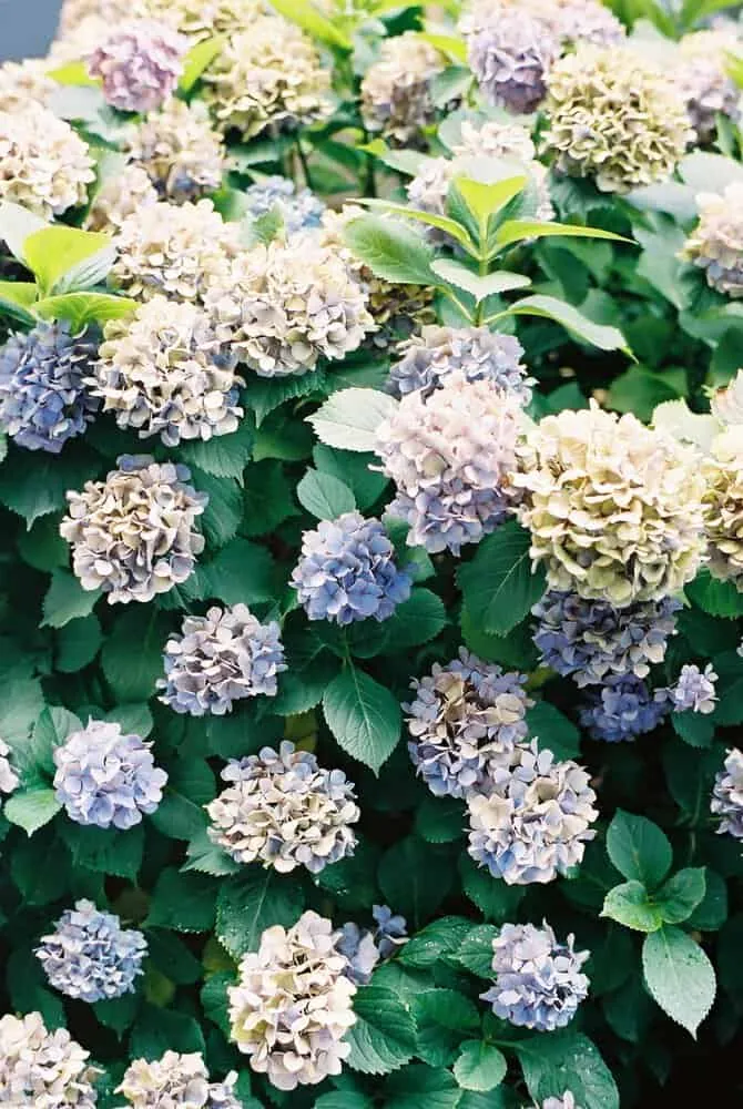 CONTAX 139Quartzと名古屋の街を撮り歩いた