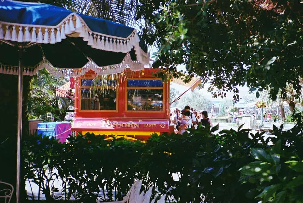 CONTAX T2とLomo100のディズニーランドがすごくエモかった