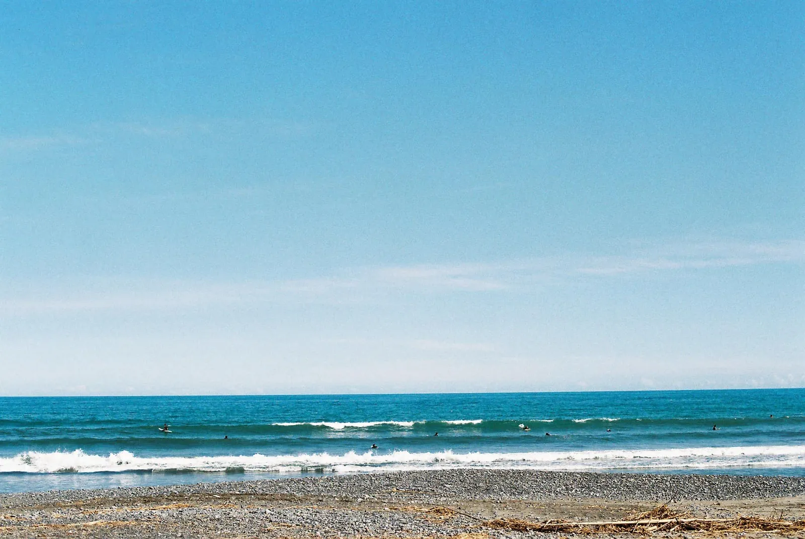 フィルムカメラで振り返る2019年の写真【2nd Roll】#カメクラの沼カレ2019