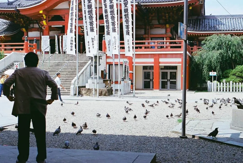 【作例】Nikon F4sに50mm1.8Dつけてちょっとそこまで