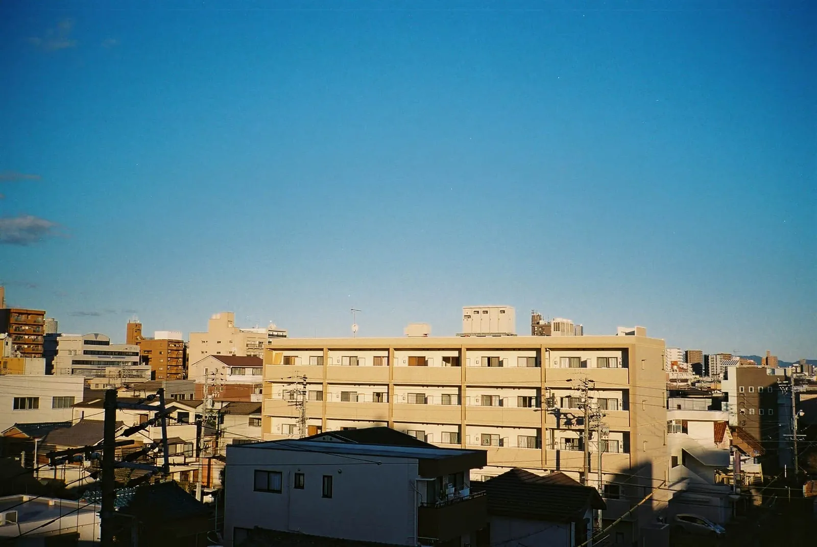 フィルムカメラで振り返る2019年の写真【2nd Roll】#カメクラの沼カレ2019