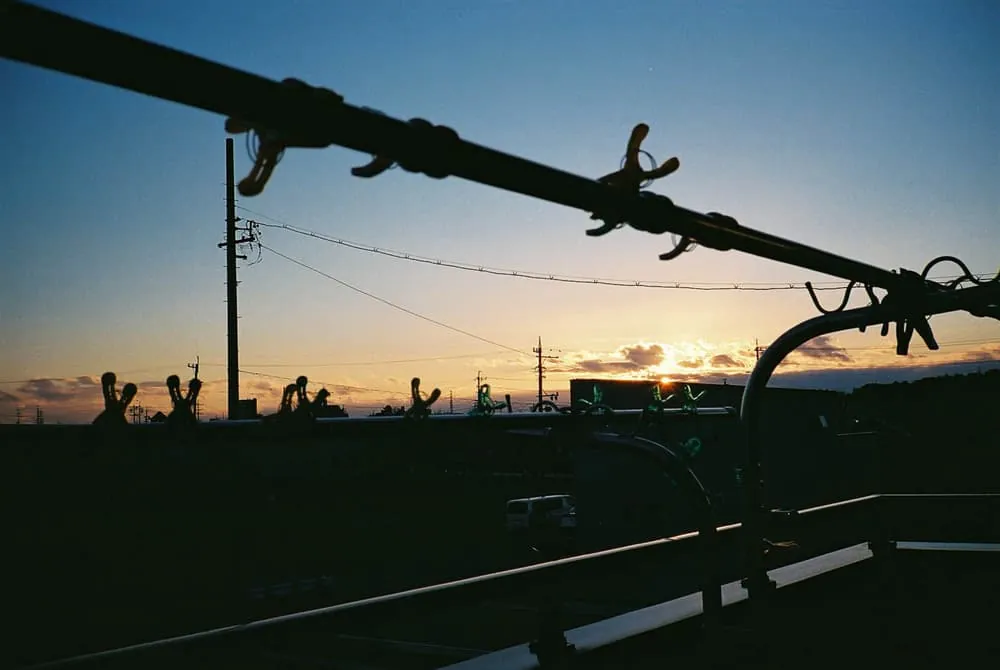 写真は構図が大事だっていうけどそこまで意識して撮ってないんじゃないか疑惑