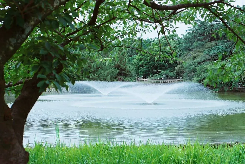 【作例】Nikon F4sに50mm1.8Dつけてちょっとそこまで