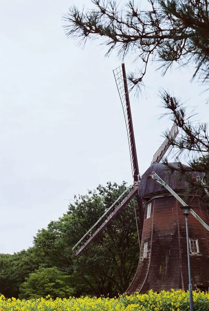 【作例】Nikon F4sに50mm1.8Dつけてちょっとそこまで