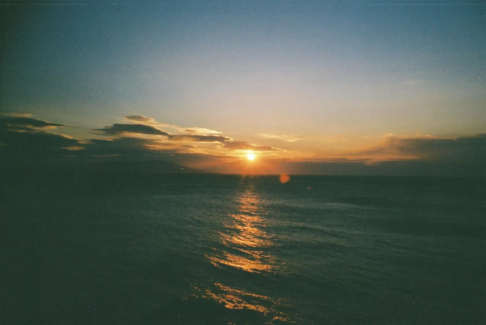 フィルムカメラで振り返る2019年の写真【2nd Roll】#カメクラの沼カレ2019