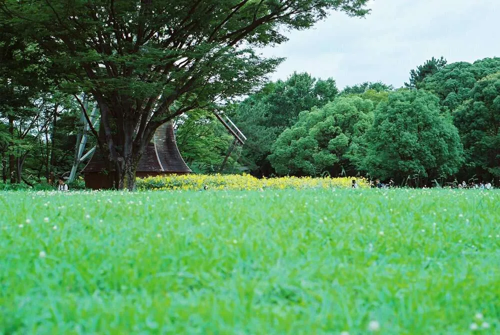 【作例】Nikon F4sに50mm1.8Dつけてちょっとそこまで
