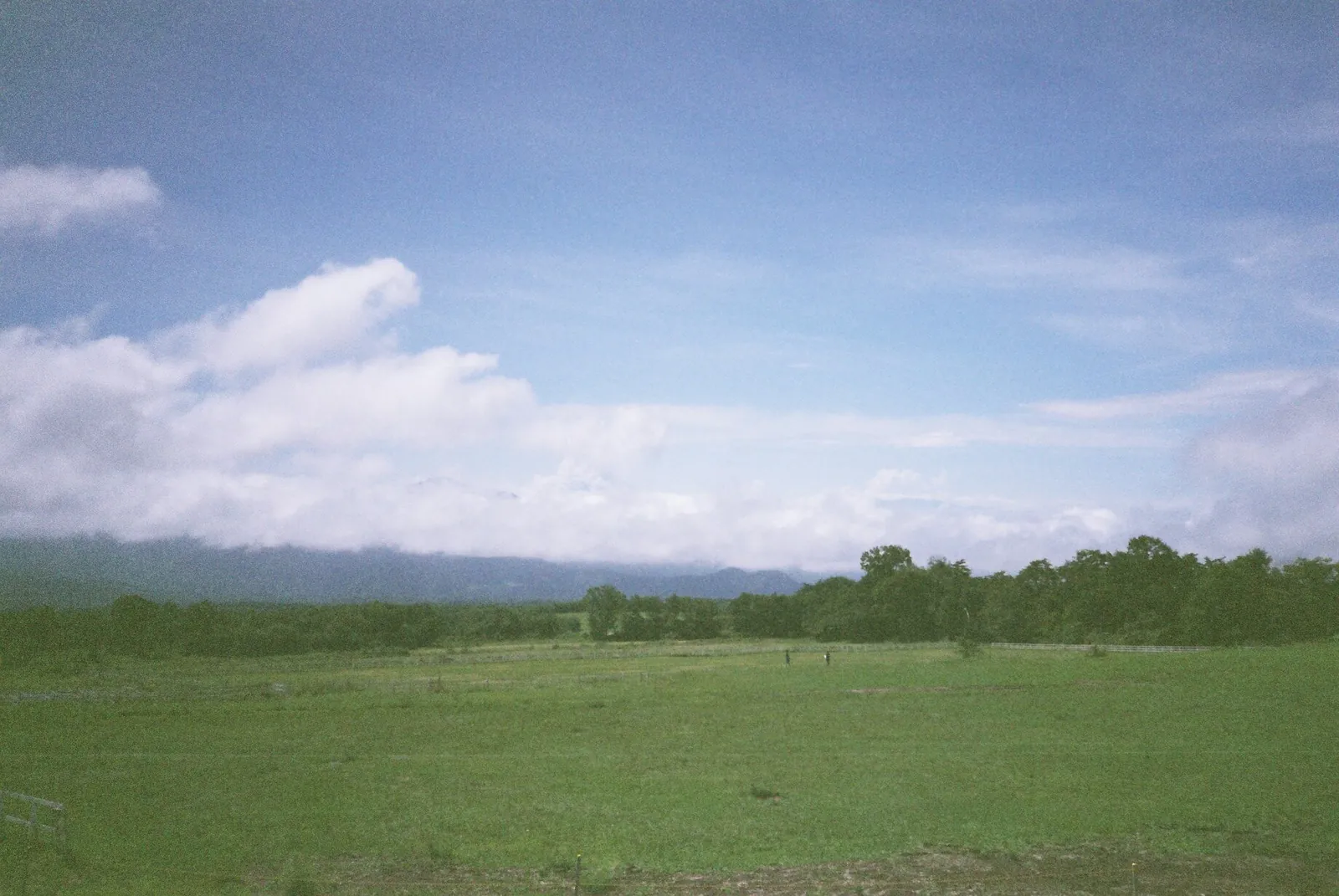 コンパクトフィルムカメラのKonica BiG miniが転がり込んできた