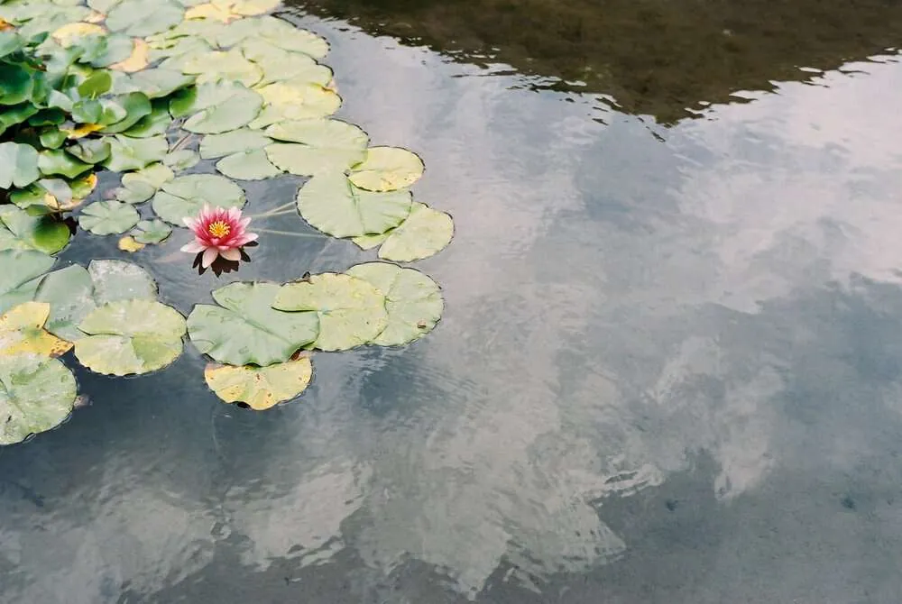 奥飛騨・飛騨高山へ温泉旅行(白川郷もあるよ)