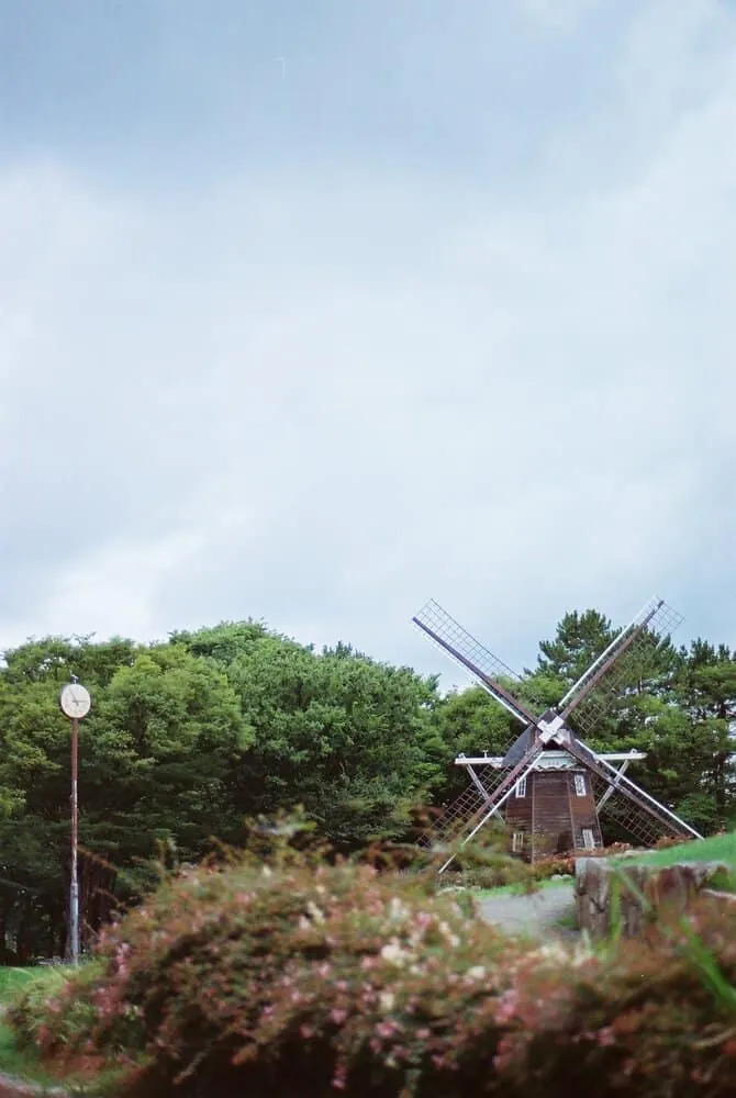 【作例】Nikon F4sに50mm1.8Dつけてちょっとそこまで