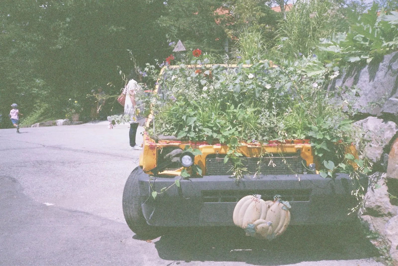 コンパクトフィルムカメラのKonica BiG miniが転がり込んできた