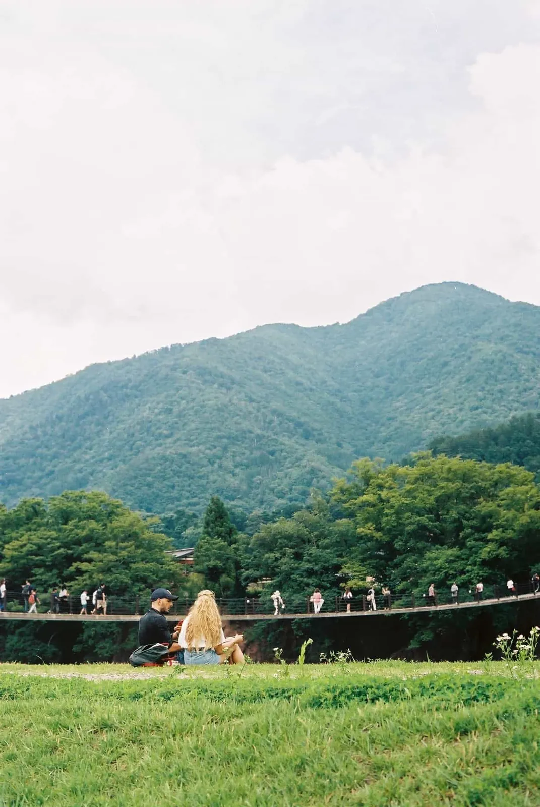 フィルムカメラで振り返る2019年の写真【2nd Roll】#カメクラの沼カレ2019