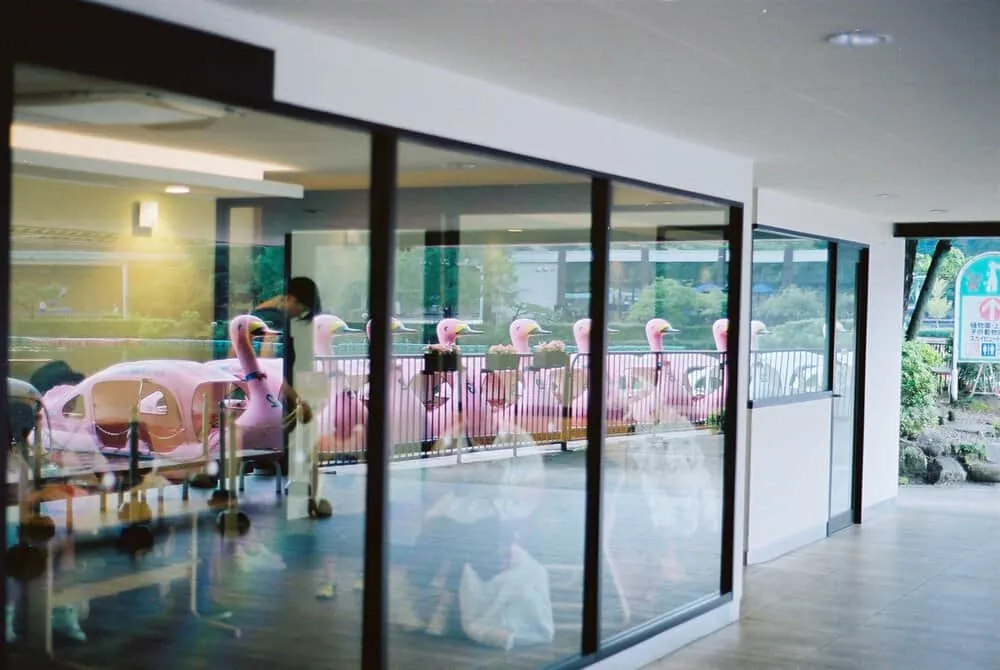 【 #ふぃるなごさんぽ 】第1回FilmsNagoyaフォトウォーク