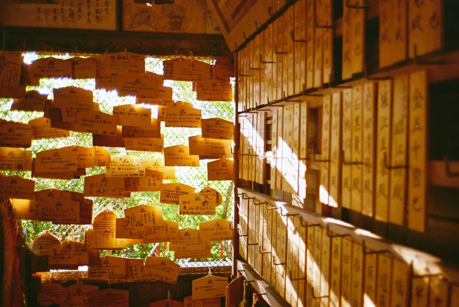 フィルムカメラで振り返る2019年の写真【2nd Roll】#カメクラの沼カレ2019