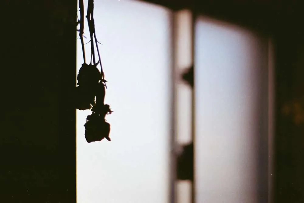 【作例】Nikon F4sに50mm1.8Dつけてちょっとそこまで