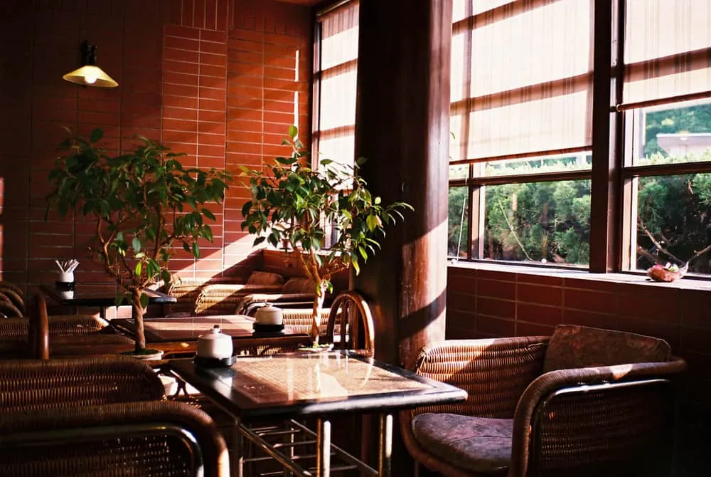 写真は構図が大事だっていうけどそこまで意識して撮ってないんじゃないか疑惑