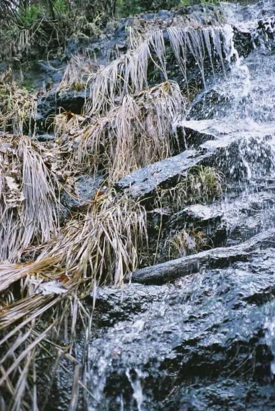 CONTAX T2と銀山温泉