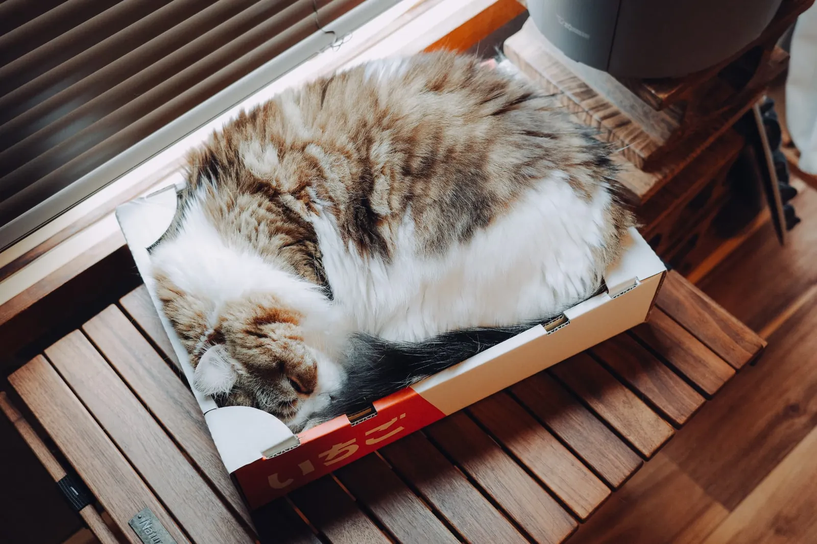 2年間ありがとGRⅢx