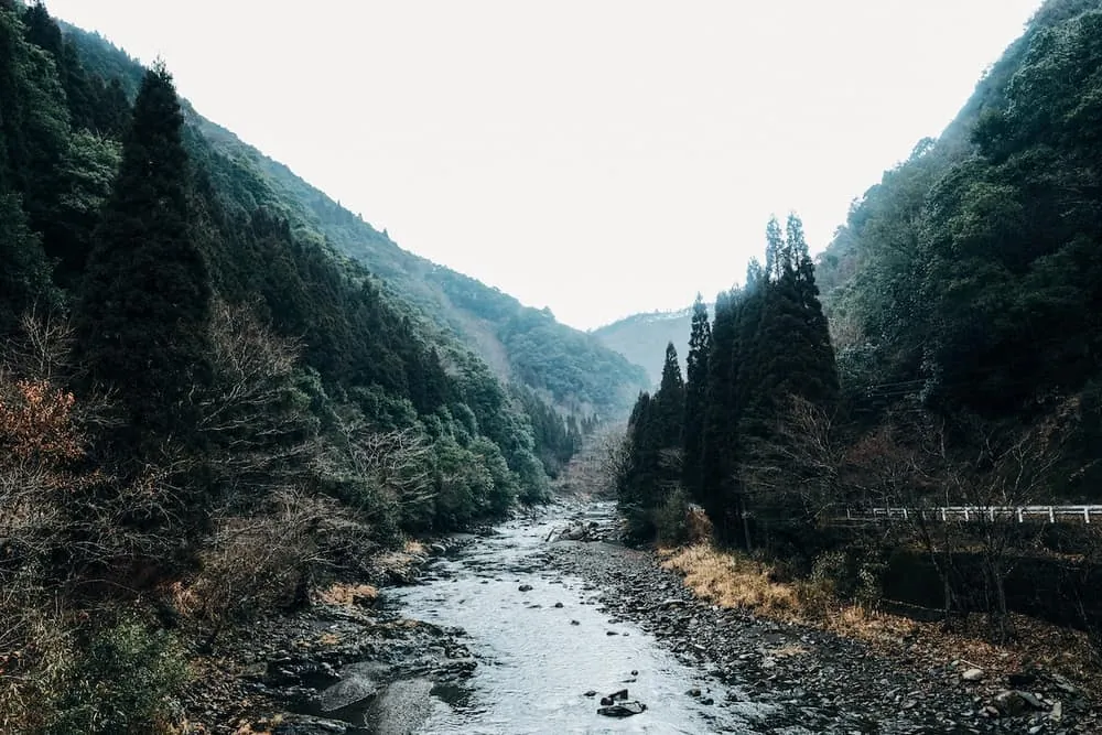 橋からの風景