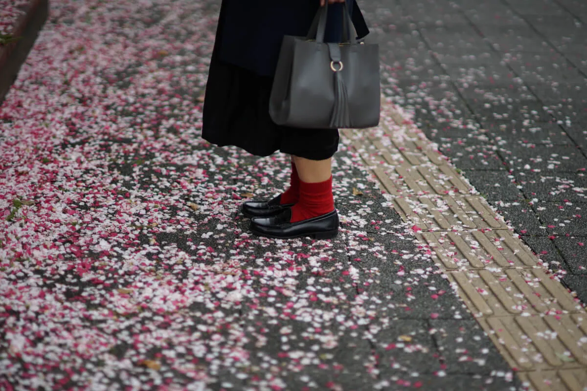 33570747300 7c97282bb7 o