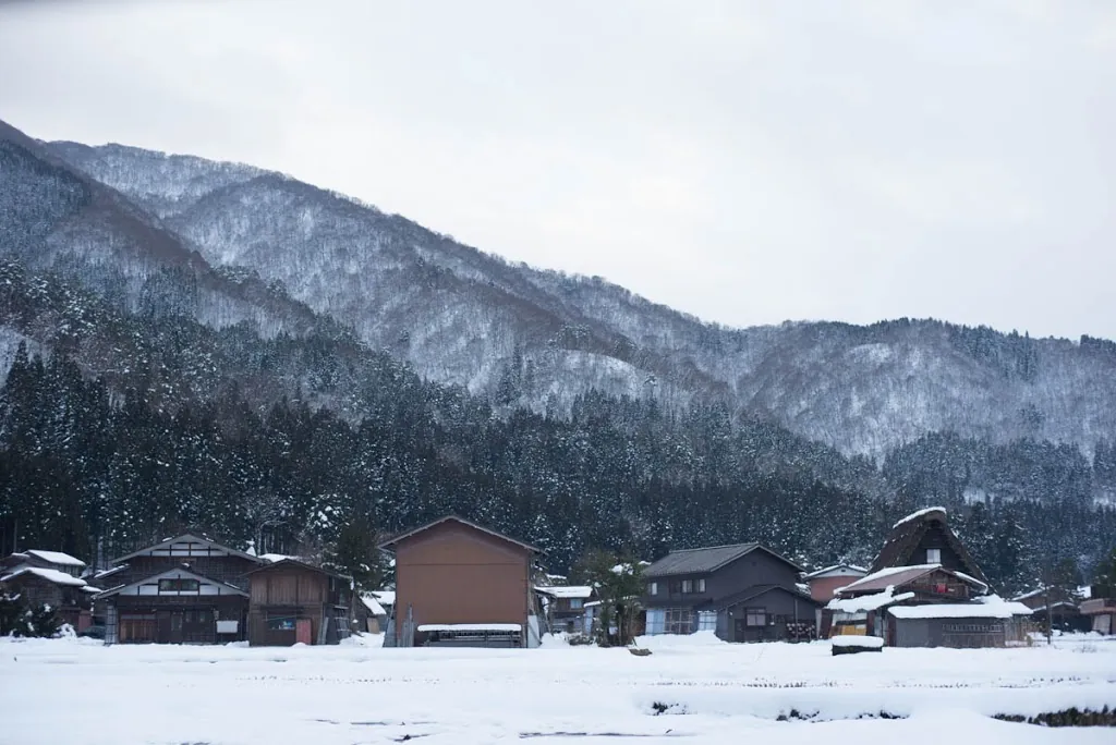 白川郷ライトアップを撮影してきた話