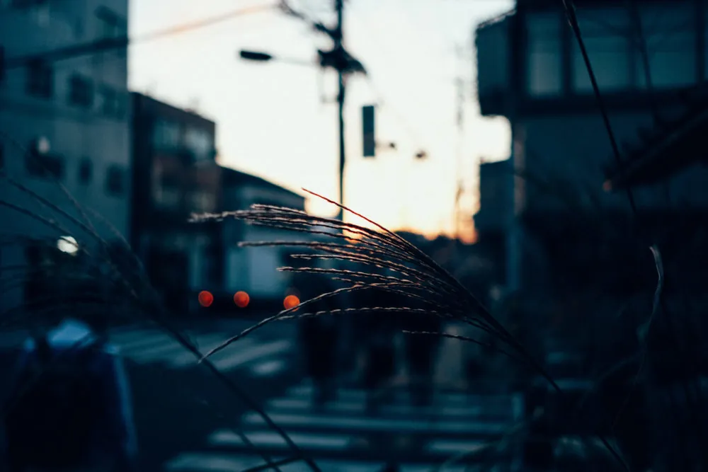 X-T2 / XF23mmF2 WR