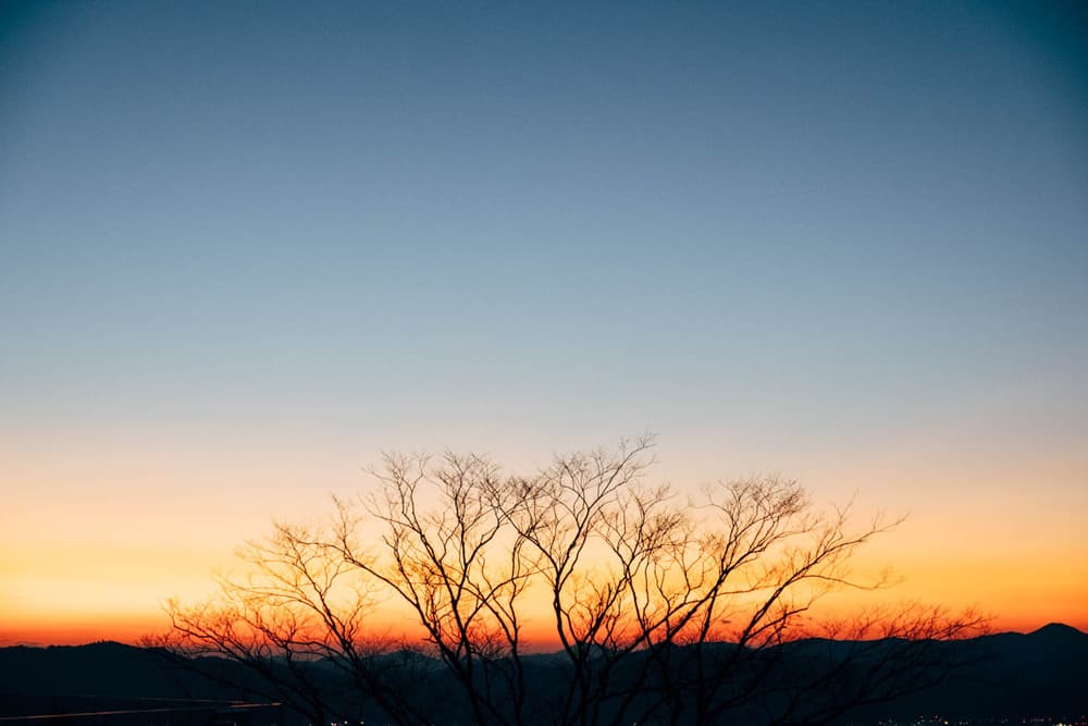 【静岡観光スポット】冬の熱海・日本平夢テラスを撮影してきた